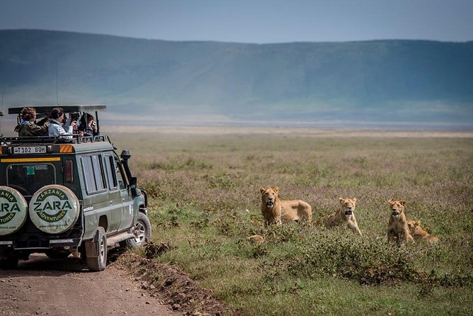 Elephant Special Serengeti & Ngorongoro Crater 5 Days / 4 Nights - Entering the safari rhythm: small groups, open-roof Land Cruisers, real wildlife time