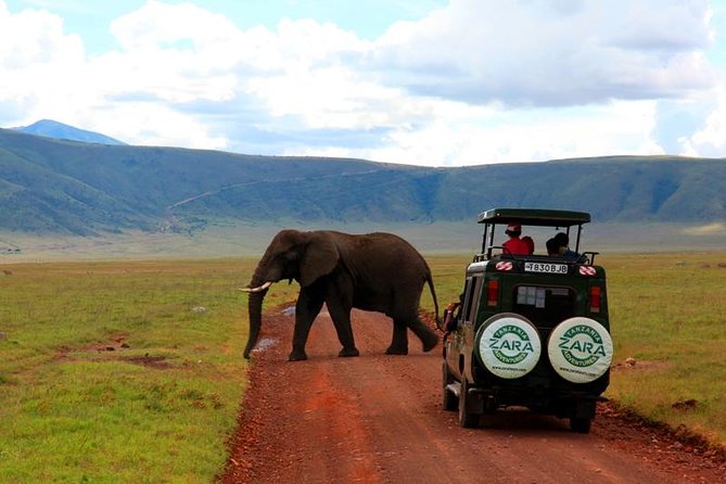 Elephant Special Serengeti & Ngorongoro Crater 5 Days / 4 Nights - Price and logistics: does $2,418.47 per person feel fair?