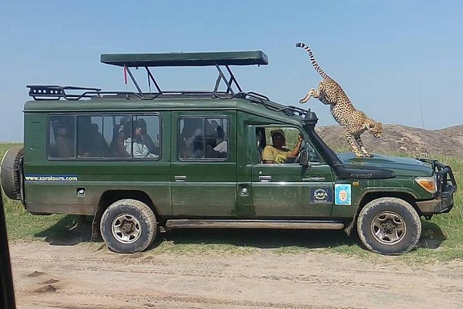 Elephant Special Serengeti & Ngorongoro Crater 5 Days / 4 Nights - The guide factor: safety, spotting, and that helpful sense of humor
