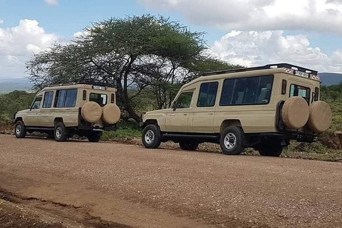 Experience A Taste of Local Life in Luxury Safari - Day 1 in Tarangire: elephants, herds, and predator context