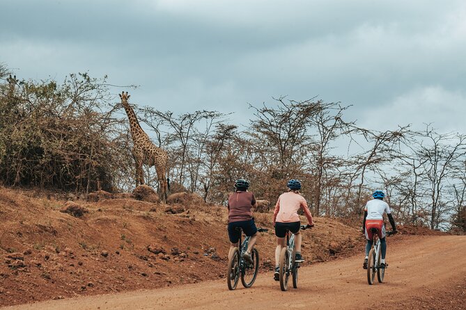 Explore the 360° of Kilimanjaro - Moshi start: pickup, bike fitting, and the 7:00 am rhythm