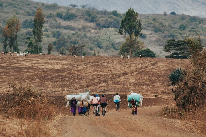 Explore the 360° of Kilimanjaro - FAQ