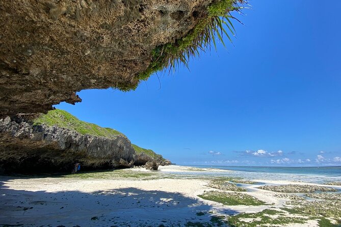 Explore Zanzibar's 6 Quintessential Southeastern Charm Full day - The comfort details: pickup, private car, and what you actually get