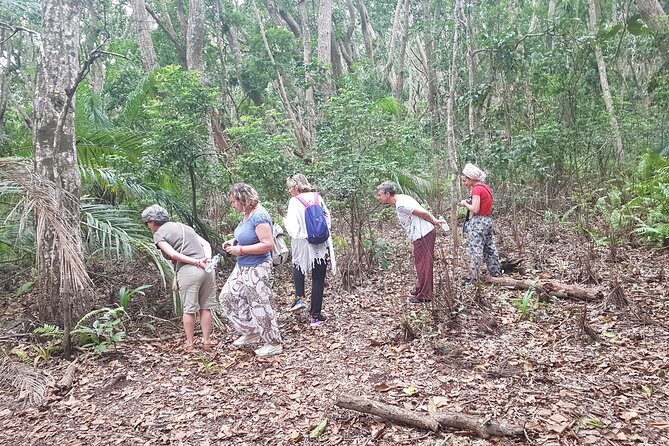 Exploring the Hidden Gems of Zanzibar - Jozani Chwaka Bay National Park and the Zanzibar red colobus