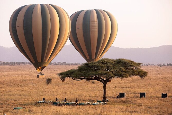 Extraordinary Hot air Bolloon ride in Serengeti | BURIGI CHATO SAFARIS CO L.T.D - Key Highlights You’ll Actually Feel During This Serengeti Balloon Ride
