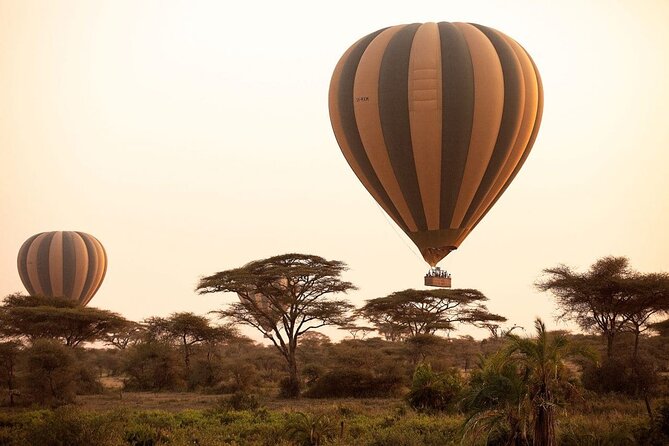 Extraordinary Hot air Bolloon ride in Serengeti | BURIGI CHATO SAFARIS CO L.T.D - Serengeti Pickup at 0500, So Your Morning Has Momentum