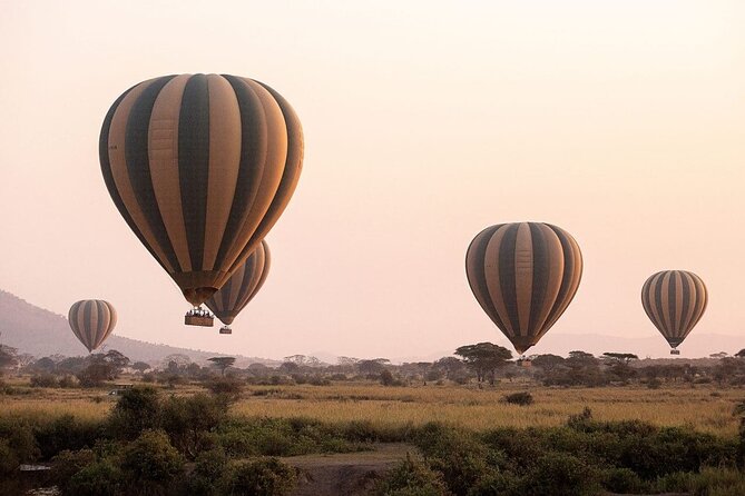 Extraordinary Hot air Bolloon ride in Serengeti | BURIGI CHATO SAFARIS CO L.T.D - Price and Value: What $710 Buys in a Serengeti Balloon