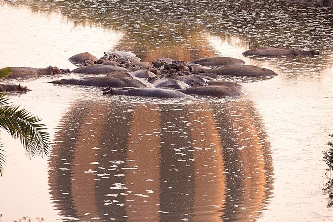 Extraordinary Hot air Bolloon ride in Serengeti | BURIGI CHATO SAFARIS CO L.T.D - Group Size of Up to 49, So You Still Get a Shared Experience