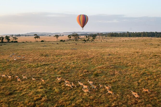 Extraordinary Hot air Bolloon ride in Serengeti | BURIGI CHATO SAFARIS CO L.T.D - Who This Serengeti Balloon Safari Is Perfect For