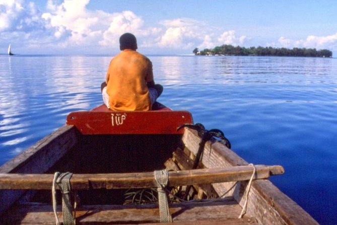 Ferry Tickets to Zanzibar with Transfers. - Ticket options and price value: what $120 per person really covers