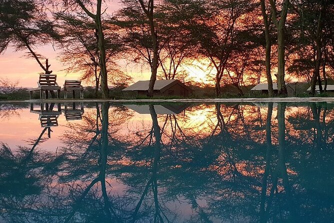 From Arusha: 11 Days famous Serengeti Inside out safari trip - First night in Arusha, after pickup from Kilimanjaro Airport