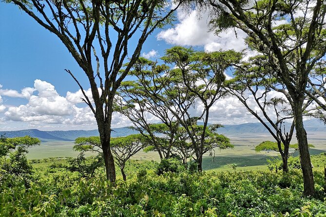 From Arusha: 11 days The Classics Northern Tanzania safari - Ndutu Lake region: timing and scenery, plus another drive day