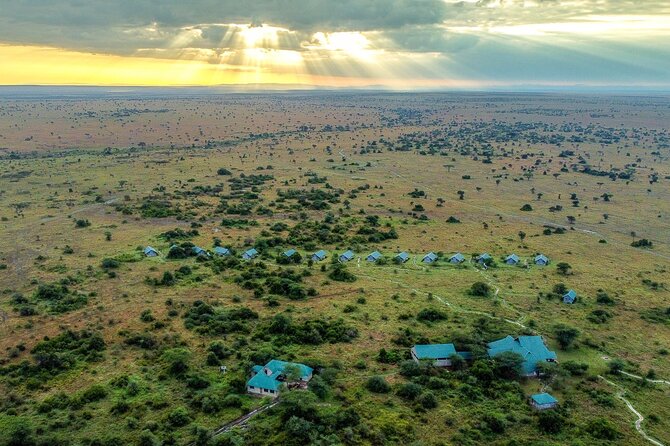 From Arusha : 3 Days Private Safari Tarangire N.P and Serengeti - Day 3: Breakfast in the bush, then fly back from Seronera