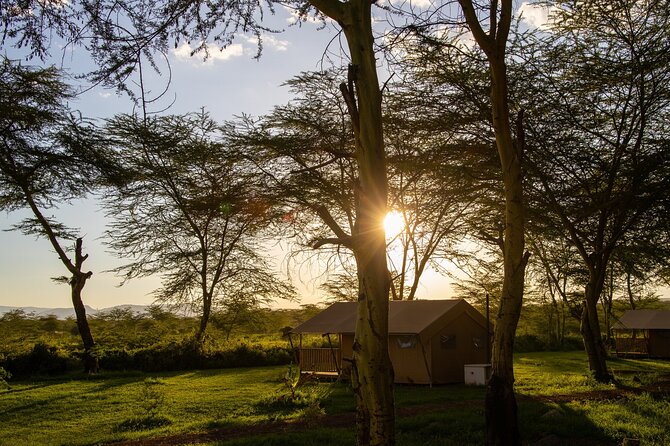 From Arusha: 5 Days Classic Safari Cats, Calves & Crater - Day 4 Ngorongoro Crater full day Big 5 game drive