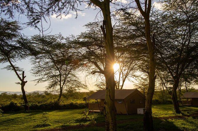From Arusha: 7-Day Discovery of the real Africa from Lake Manyara - Open-roof 4x4 rides that make Lake Manyara feel close