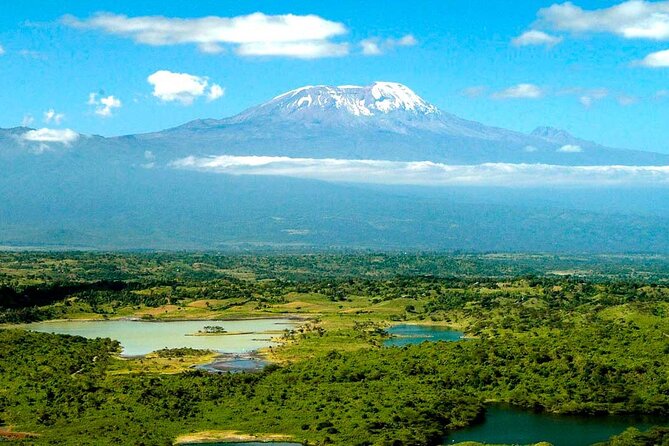 From Arusha: 7 Days Classic Safari Central Northern Circuit - Manyara Region Day 2: A Break You Can Actually Use