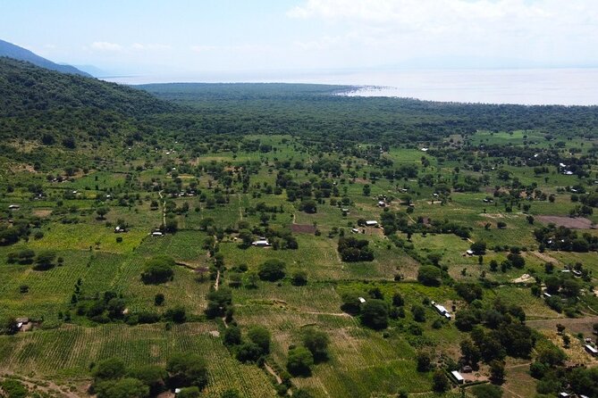 From Arusha: 9 Days Private Guided Classic Game Drive in Tanzania - Tarangire National Park for elephants and easy spotting