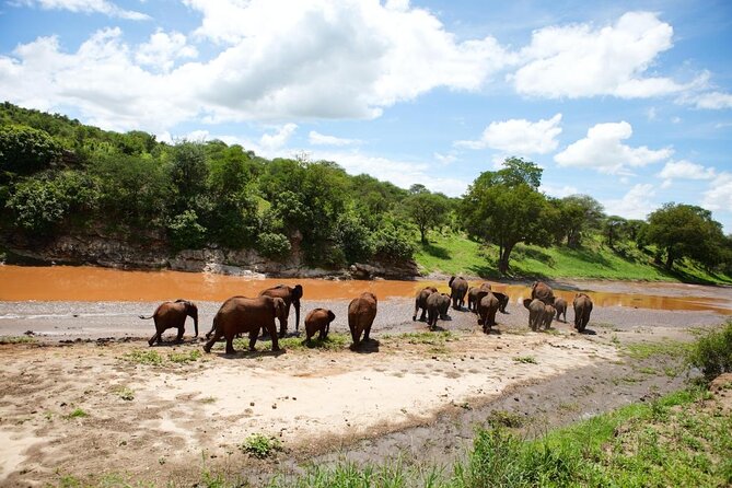From Arusha: 9 Days Private Guided Classic Game Drive in Tanzania - Loliondo and Ololosokwan, wildlife beyond the usual boxes