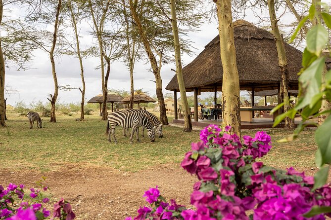 From Arusha: 9 Days Private Guided Classic Game Drive in Tanzania - Ngorongoro Crater for the Big Five odds and dramatic viewing