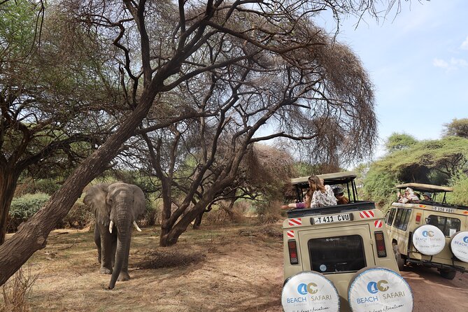 From Arusha: 9 Days Private Guided Classic Game Drive in Tanzania - Lodges and full-board meals that keep your days easy