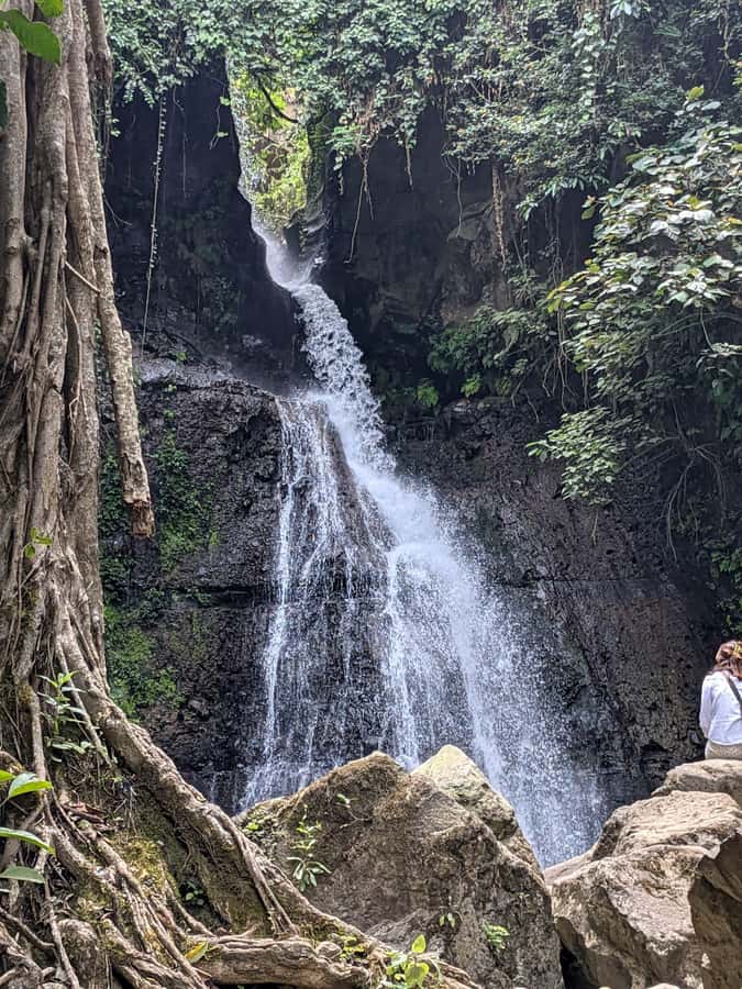 From Arusha: Coffee Farm and Mangalia Waterfalls Tour - Key Things You Will Notice on This Tour
