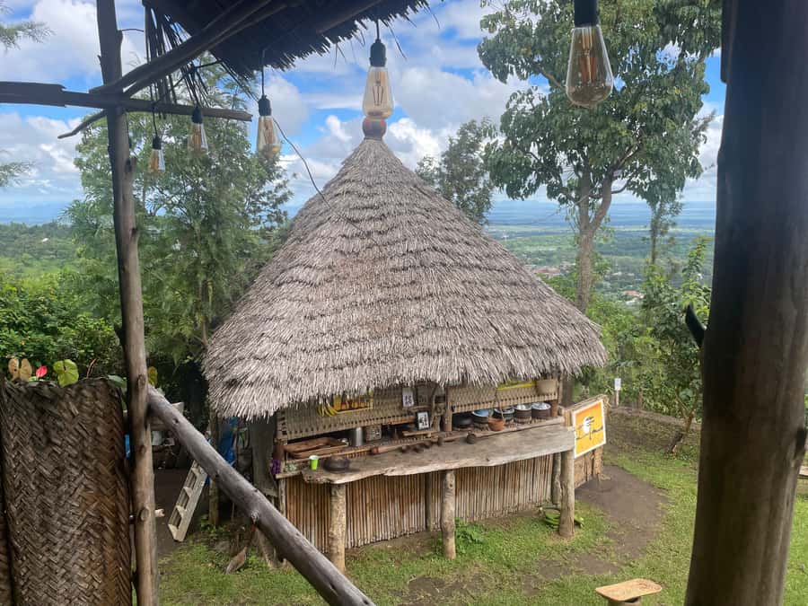 From Arusha: Coffee Farm and Mangalia Waterfalls Tour - The Scenic Break: Mount Meru and Kilimanjaro Views Plus Banana Drinks