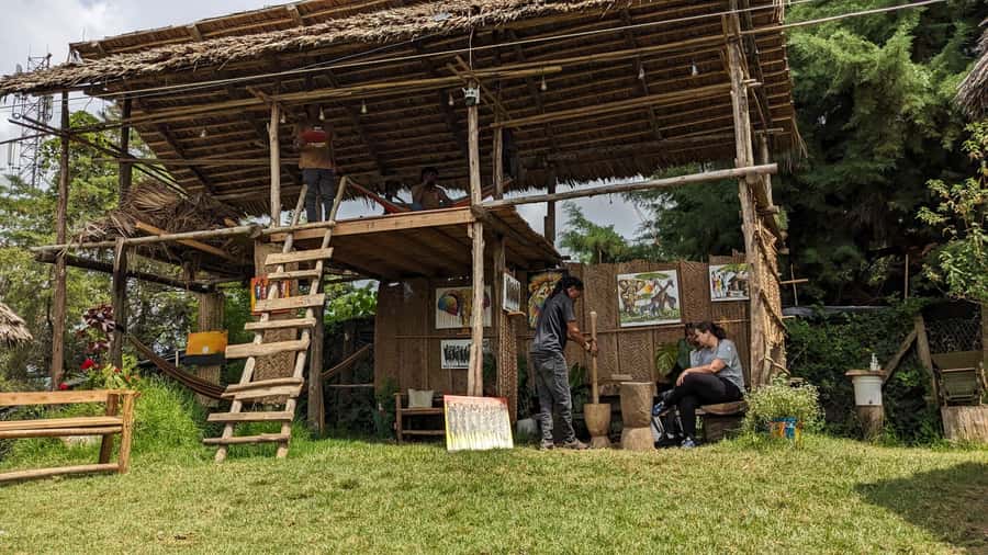 From Arusha: Coffee Farm and Mangalia Waterfalls Tour - Should You Book This Arusha Coffee Farm and Mangalia Waterfalls Tour?