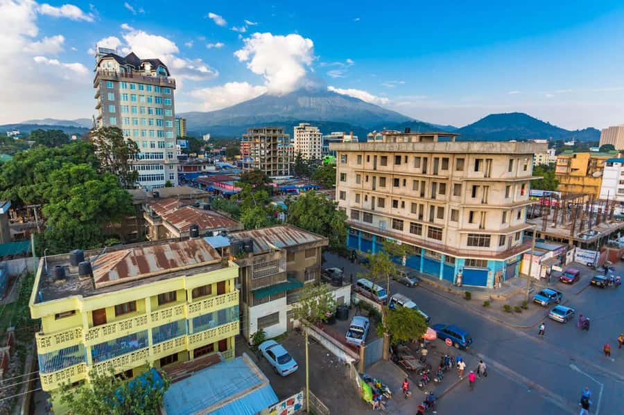From Arusha: Guided City Tour with the best highlights - Arusha Declaration Monument, museum exhibits, and the heritage angle