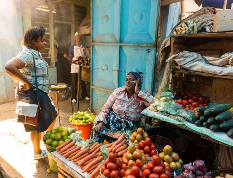 From Arusha: Guided City Tour with the best highlights - Arusha Clock Tower and the Cairo to Johannesburg halfway point