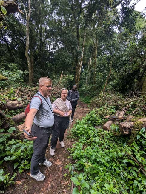 From Arusha/Moshi: Kilimanjaro Hike Marangu Route Day Trip - How long you are actually out there, and how to pace the day