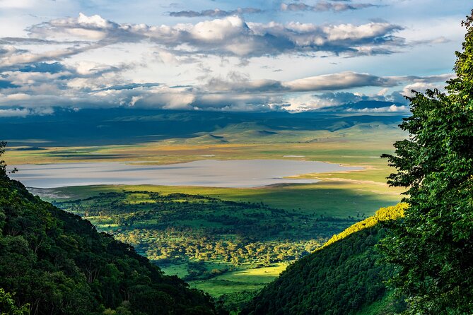 From Arusha: Tarangire and Ngorongoro Crater 3-Day Private Safari - Timing, comfort, and how to prepare for real safari days