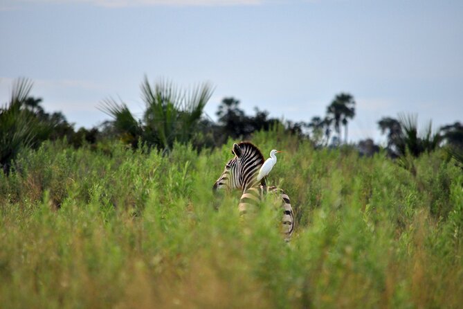 From Arusha: Tarangire and Ngorongoro Crater 3-Day Private Safari - Should you book this Arusha Tarangire and Ngorongoro safari?