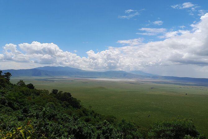 From Arusha to Zanzibar : 11 days From Bush to Beach safari - The Zanzibar Flight Day: From Safari Heat to Indian Ocean Easy