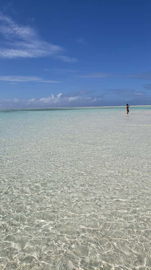 From Kendwa: Mnemba Boat Trip and Dolphin Snorkel Adventure - Swimming With Dolphins: How the Crew Helps You Do It Safely