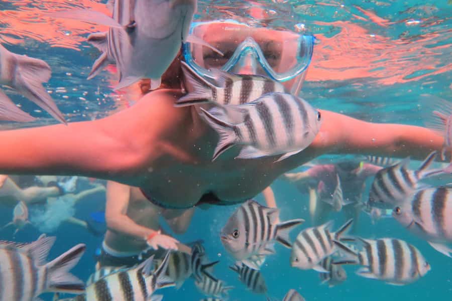From Kendwa: Mnemba Boat Trip and Dolphin Snorkel Adventure - Should You Book Captbarnabatours Mnemba Dolphin and Snorkel?