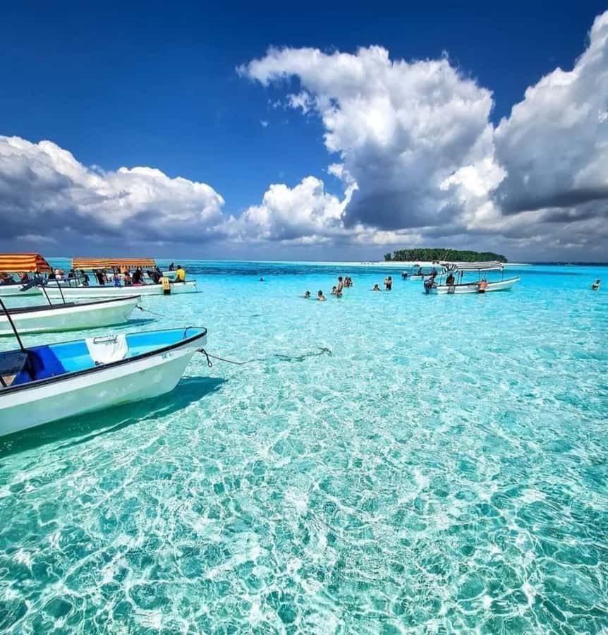 FROM KENDWA; Mnemba snorkelling and Dolphin tour - Mnemba island: snorkel, reef color, and real break time