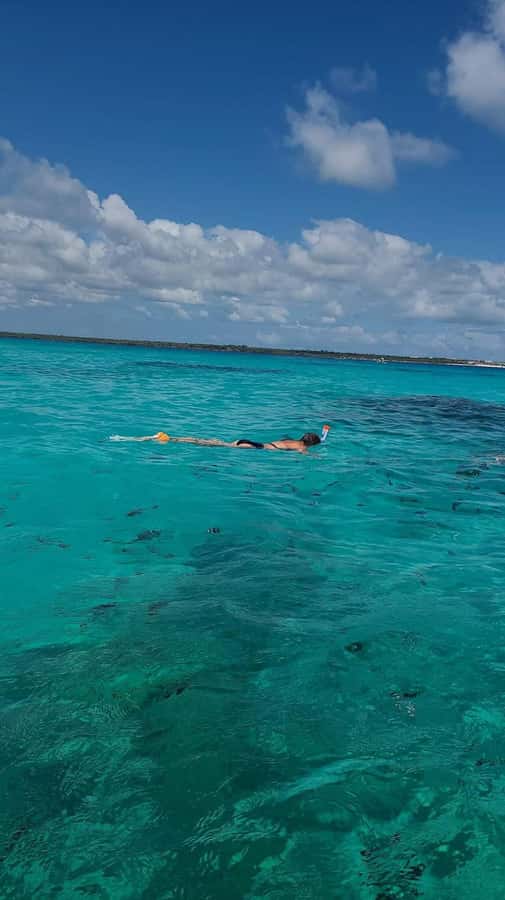FROM KENDWA; Mnemba snorkelling and Dolphin tour - Who this tour fits best in your Zanzibar plan