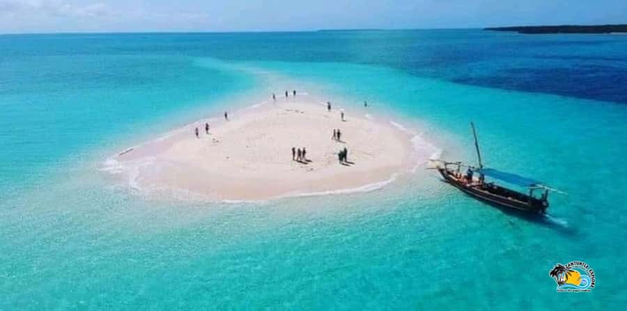 From Kendwa/Nungwi: Mnemba Dolphins with Snorkel Tour - Snorkeling Gear Tip: If Your Fit Matters, Bring Your Own