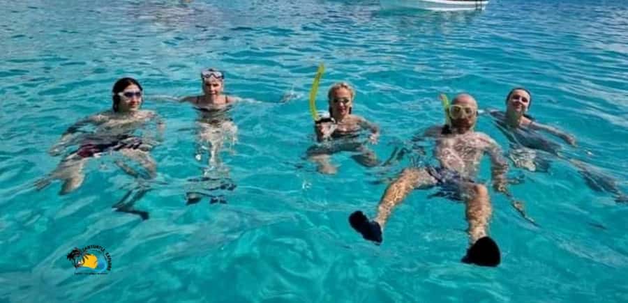From Kendwa/Nungwi: Mnemba Dolphins with Snorkel Tour - What’s Included, What’s Not, and the Value at About $56