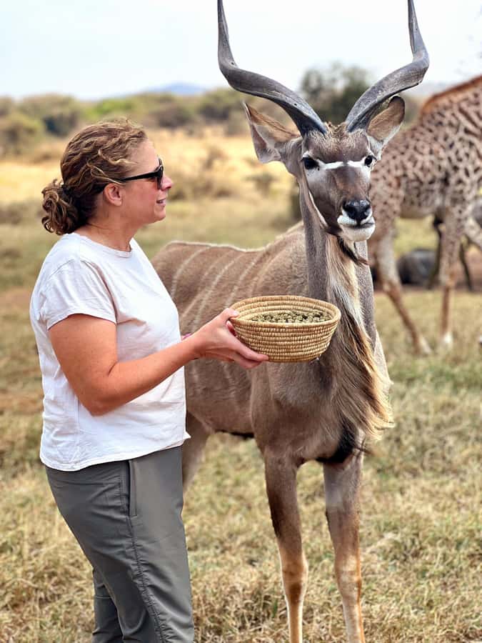 From Moshi or Arusha: Serval Wildlife Sanctuary Trip - Getting there from Moshi or Arusha, and why the transfer time matters
