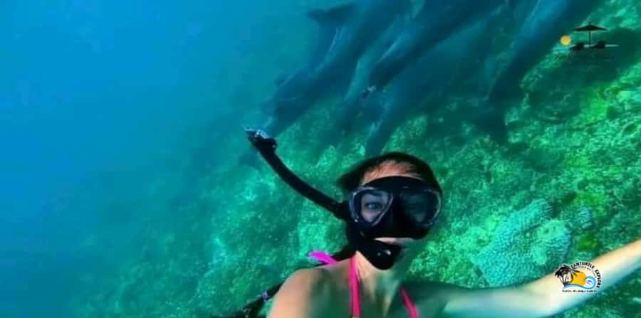 From Nungwi/Kendwa: Mnemba Atoll Starfishes & Dolphins Tour - Price and Value: Is $54 Worth It?