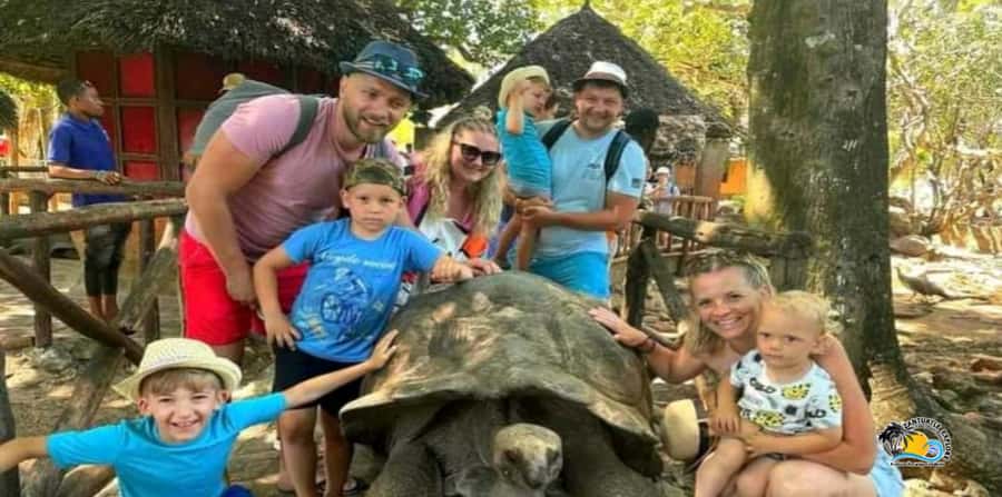 From Nungwi/Kendwa: Prison Island & Nakupenda Sandbank Tour - Key points to know before you go