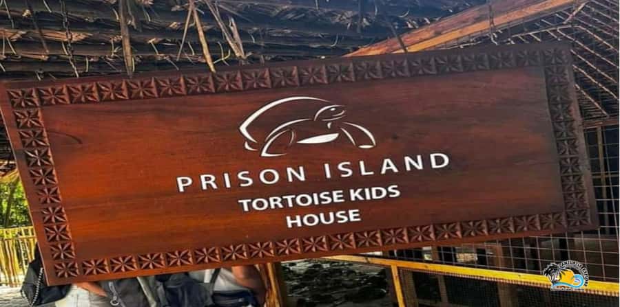 From Nungwi/Kendwa: Prison Island & Nakupenda Sandbank Tour - Nakupenda Sandbank: the white sand hour you’ll want to slow down