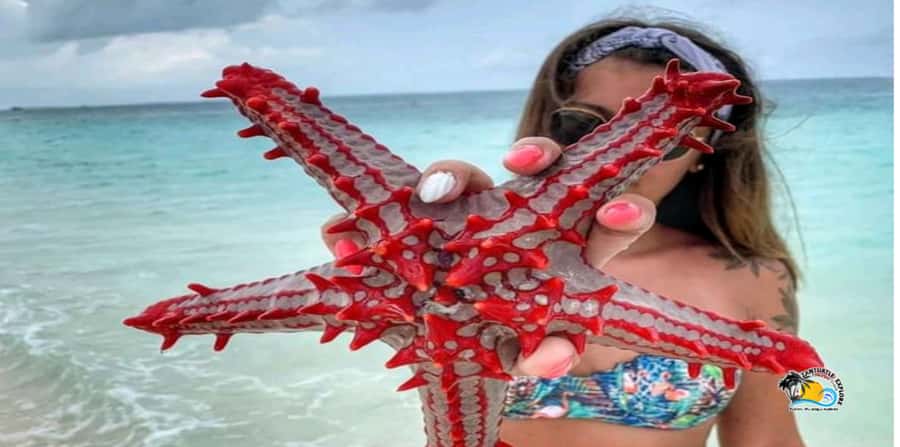 From Nungwi/Kendwa: Prison Island & Nakupenda Sandbank Tour - Price and value at $85: what you get for the day