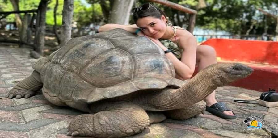From Nungwi/Kendwa: Prison Island & Nakupenda Sandbank Tour - Prison Island: giant Aldabra tortoises and the museum-style visit