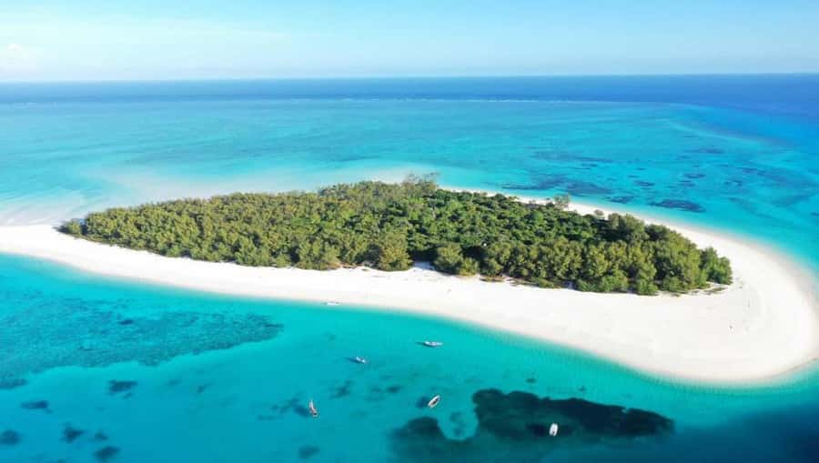 From Nungwi : Mnemba Boat Trip and Dolphin Snorkel Adventure - Dolphins First: How the Hunt Works and How to Maximize Your Chance