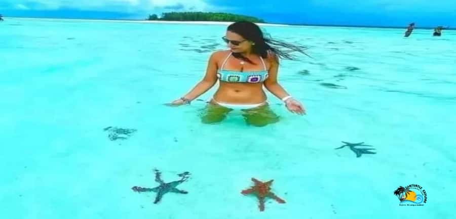 From Nungwi: Mnemba Island Dolphin Watching and Snorkeling - Mnemba snorkeling: guided time and what to expect in the water