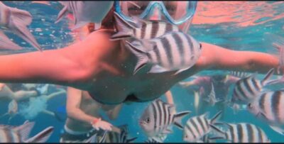 MNEMBA SNORKELING AND DOLPHIN TOUR