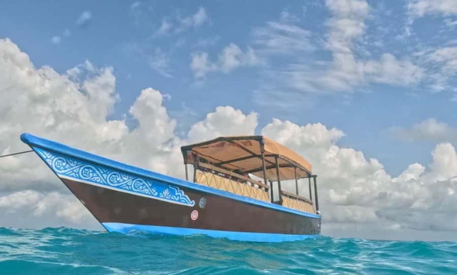 FROM NUNGWI; MNEMBA SNORKELING AND DOLPHIN TOUR - Food and small comfort upgrades that matter more than you think