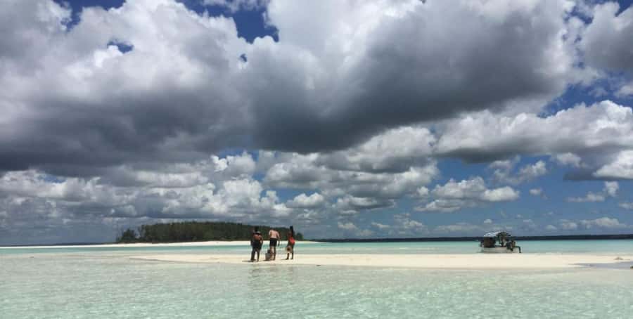 FROM NUNGWI; MNEMBA SNORKELING AND DOLPHIN TOUR - Price and value at $45 per person for a guided boat day